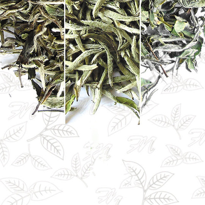 OEM detoxification সমতল টিউমার চা ঐতিহ্যগত ভেষজ ওজন কমানোর চা নিরপেক্ষ পাতা প্যাকেজিং